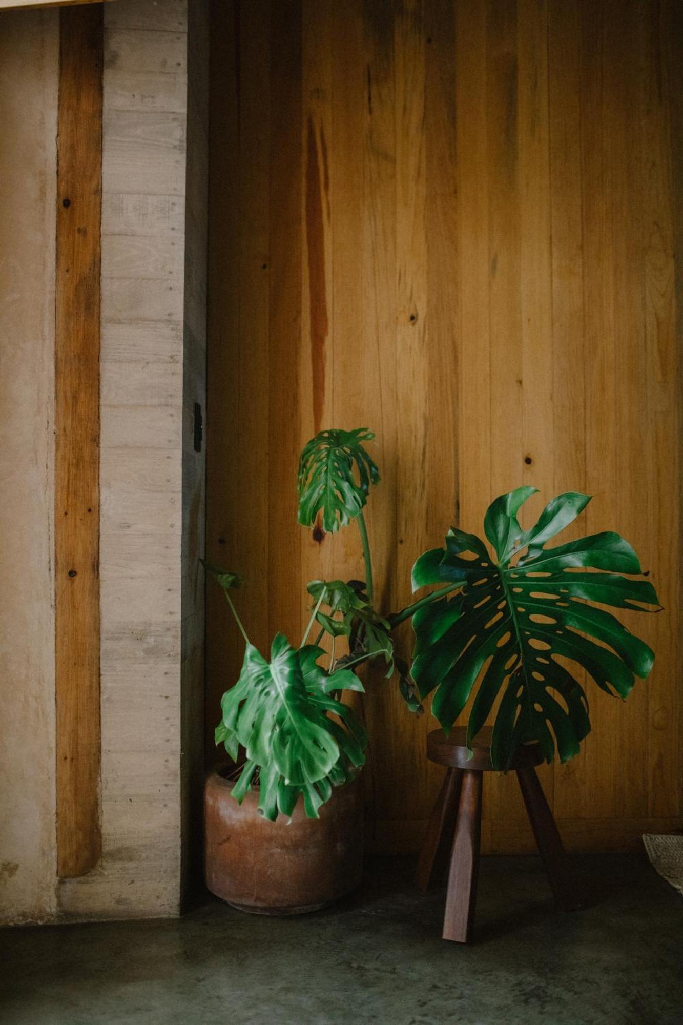 Hotel Escondido Oaxaca, A Member Of Design Hotels ภายนอก รูปภาพ